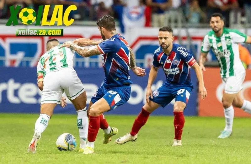 chọn tài cả trận cho cuộc đấu