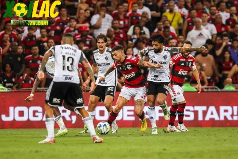Đội bóng Flamengo 