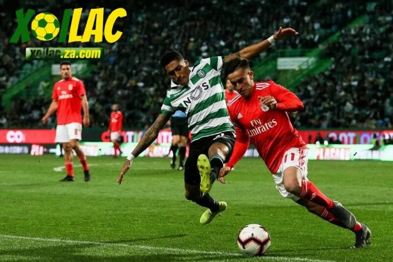 Đội chủ nhà Sporting Lisbon